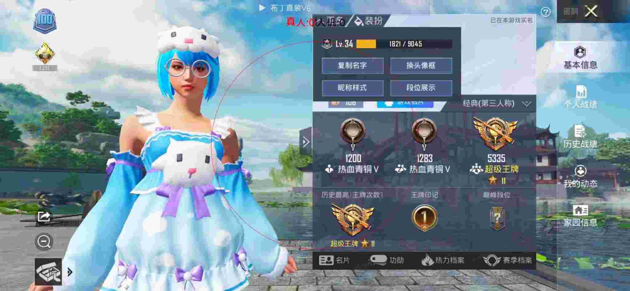 和平精英布丁直装透视 - 火烈鸟和平精英头像图片辅助预览图